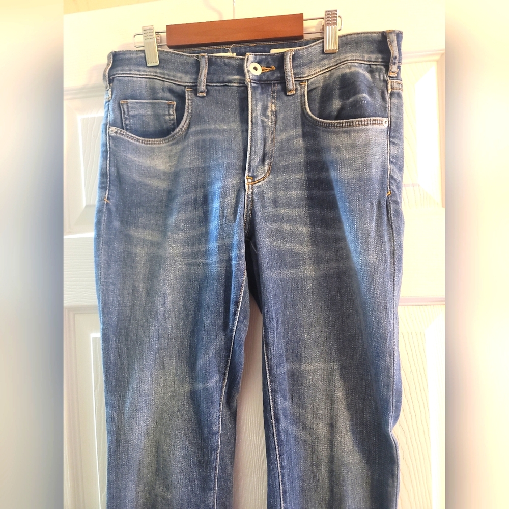 anthropologie pilcro and the letterpress High Rise Skinny Jeans Denim. Size 27.